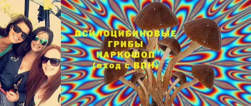 хочу наркоту  Гремячинск  Галлюциногенные грибы Magic Shrooms 